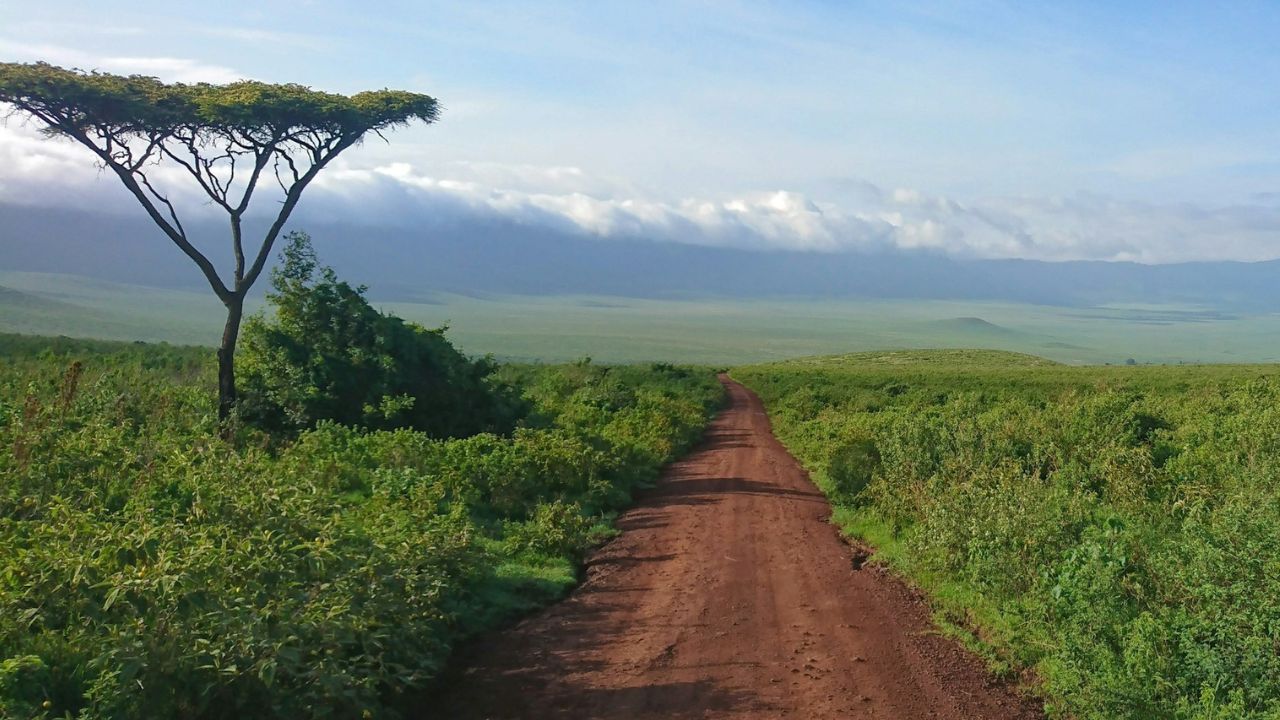Tanzanie