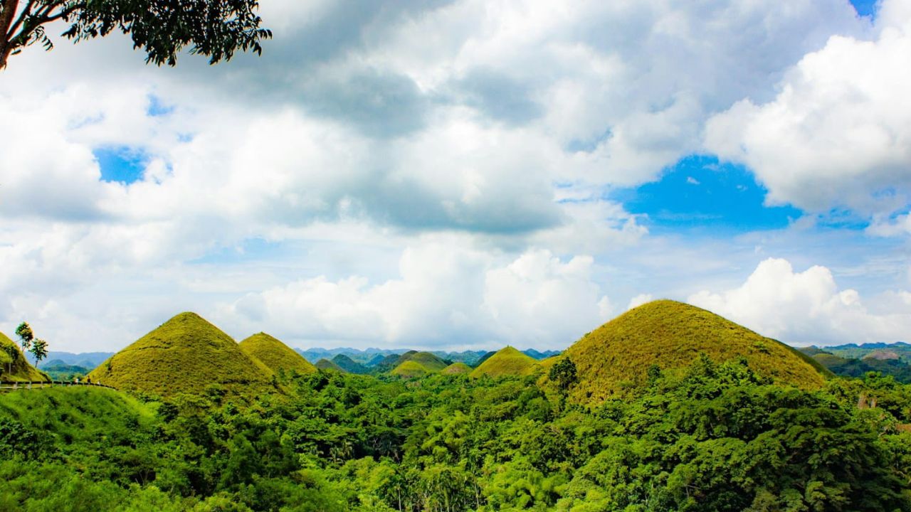 Bohol