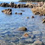 Piscine naturelle de Solenzara