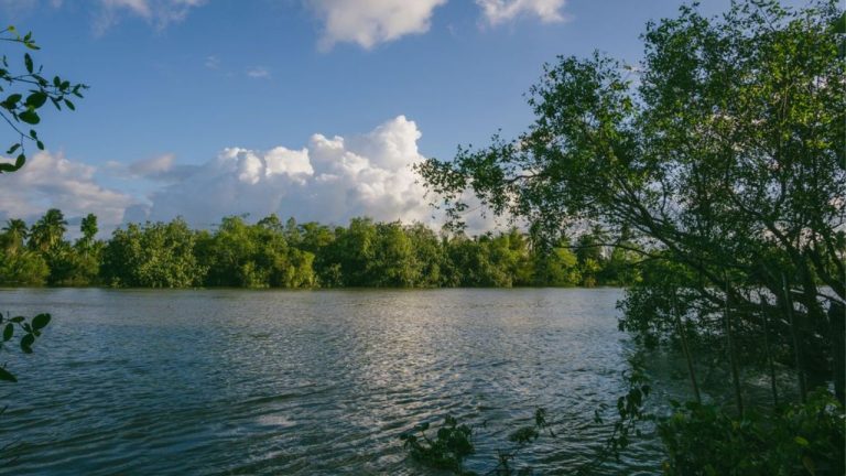 Road trip Guyane